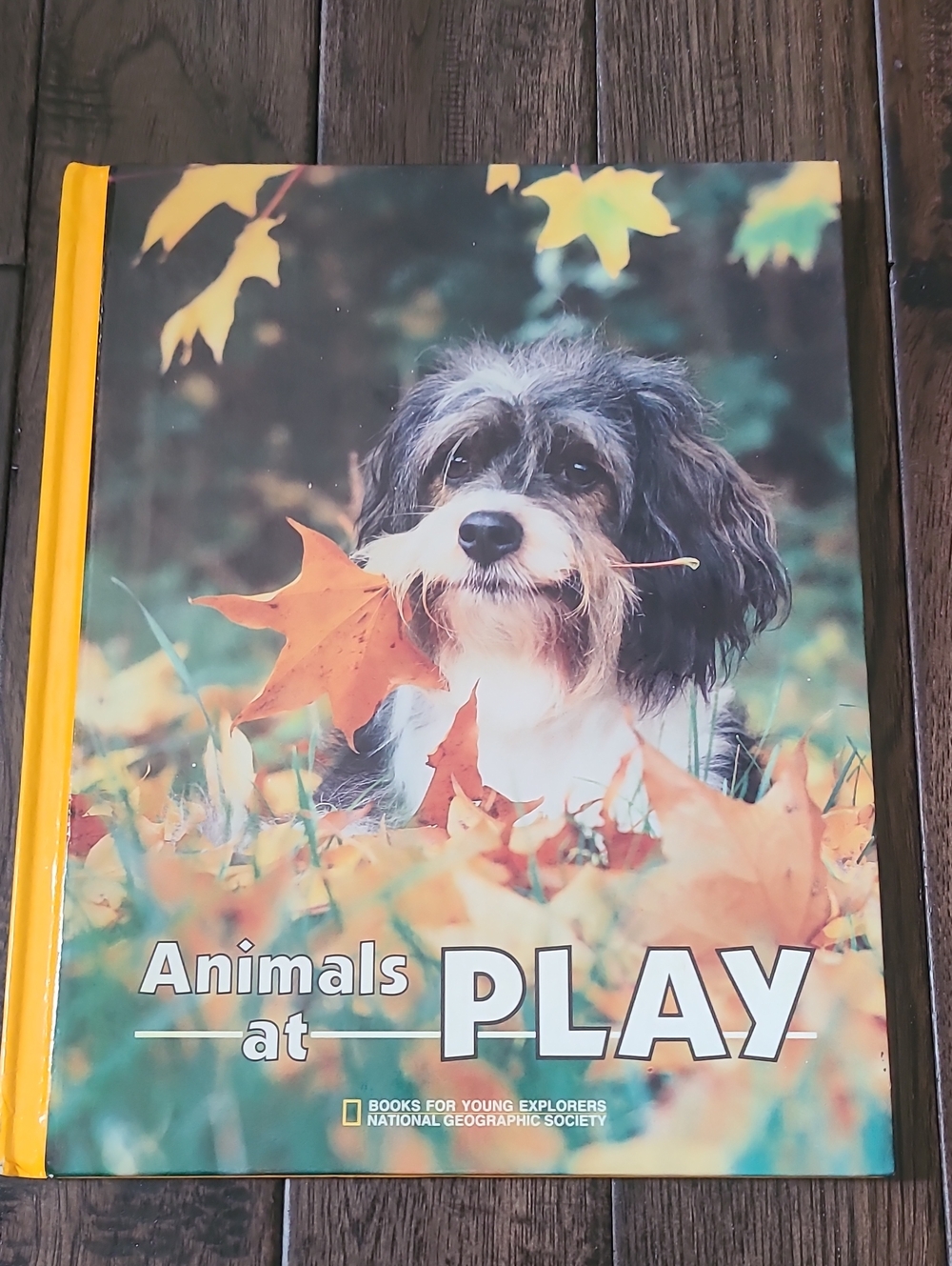 Vintage 1988 National Geographic "Animals at Play" Hardcover